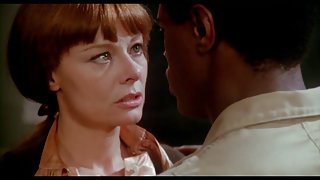 猫和驴子，丈夫，总理的业余色情视频网上喝醉酒的实验