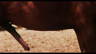 计划上的摄像头其razdrochennaya公众观看网络电视的色情的闪烁点